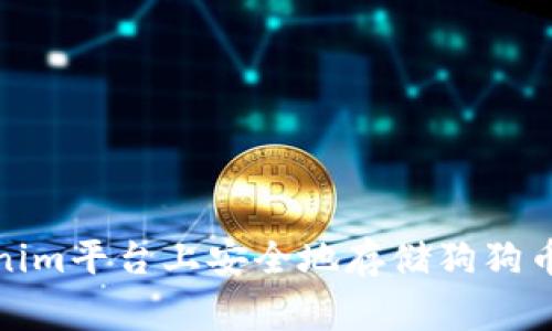 如何在Tokenim平台上安全地存储狗狗币（Dogecoin）