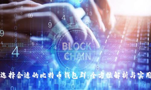 如何选择合适的比特币钱包群：全方位解析与实用指南