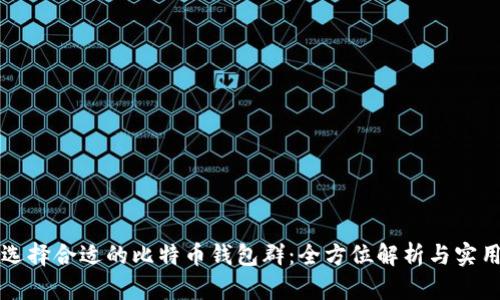 如何选择合适的比特币钱包群：全方位解析与实用指南