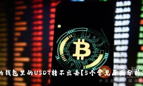 为什么我的钱包里的USDT转不出去？5个常见原因分析及解决方案