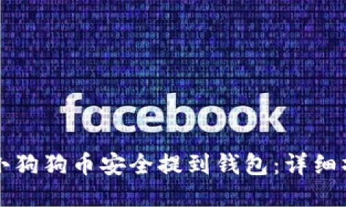 如何将小狗狗币安全提到钱包：详细操作指南