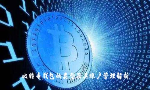 比特币钱包的类型及其账户管理解析