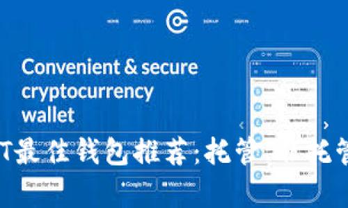 2023年USDT最佳钱包推荐：托管、非托管的全面分析