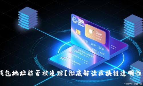 USDT钱包地址能否被追踪？彻底解读区块链透明性的真相
