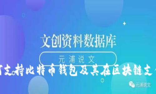 特斯拉为何支持比特币钱包及其在区块链支付中的影响