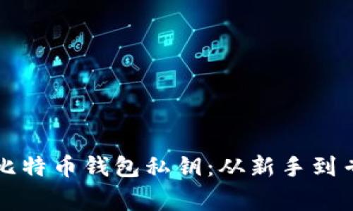 如何安全存储比特币钱包私钥：从新手到专家的全面指南