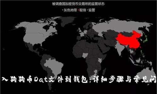如何导入狗狗币Dat文件到钱包：详细步骤与常见问题解答