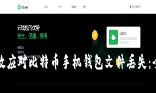 如何有效应对比特币手机钱包文件丢失：全面指南