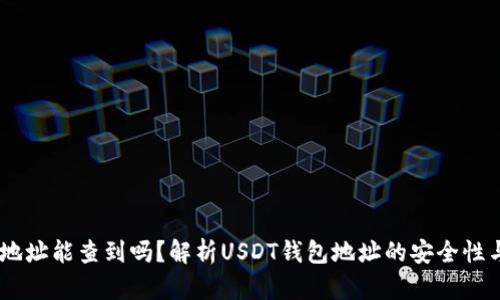 USDT钱包地址能查到吗？解析USDT钱包地址的安全性与隐私问题