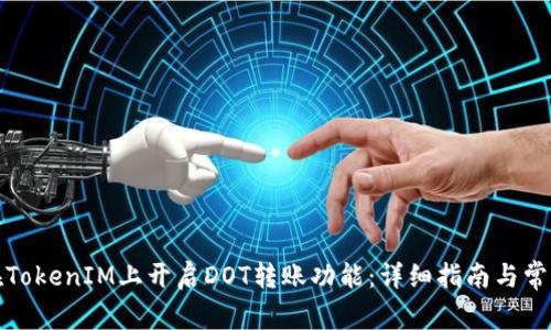 如何在TokenIM上开启DOT转账功能：详细指南与常见问题