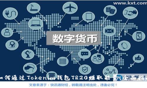 如何通过Tokenim钱包TR20赚取能量：全面指南