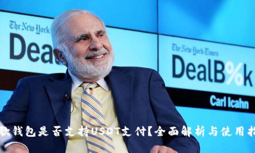谷歌钱包是否支持USDT支付？全面解析与使用指南