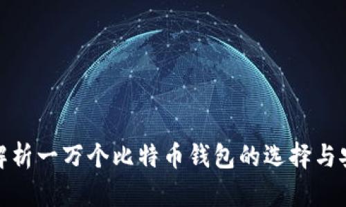 全面解析一万个比特币钱包的选择与安全性