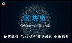 如何进行 TokenIM 查询授权：全面指南