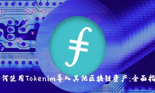 如何使用Tokenim导入其他区块链资产：全面指南