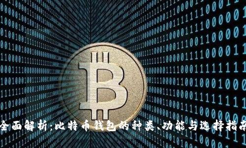 全面解析：比特币钱包的种类、功能与选择指南