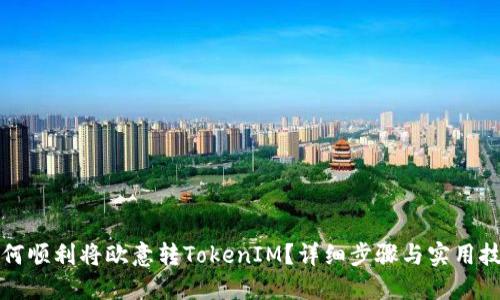 如何顺利将欧意转TokenIM？详细步骤与实用技巧