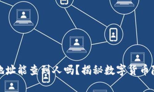 泰达币钱包地址能查到人吗？揭秘数字货币隐私和透明性