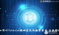 如何从Tokenim找回遗失的数字货币：全面指南