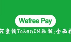如何查询TokenIM私钥：全面指南