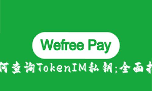 如何查询TokenIM私钥：全面指南