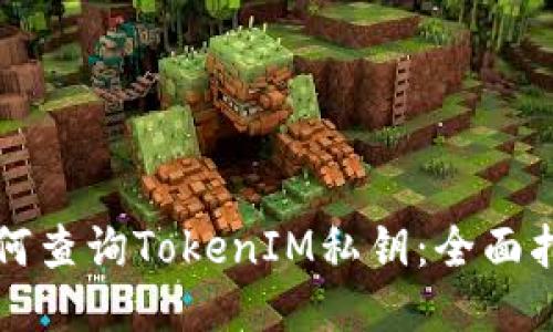 如何查询TokenIM私钥：全面指南