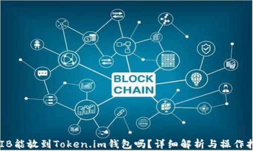 
SHIB能放到Token.im钱包吗？详细解析与操作指南