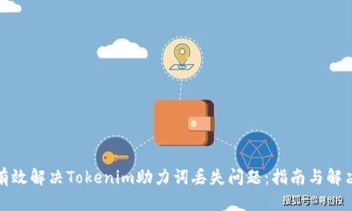 如何有效解决Tokenim助力词丢失问题：指南与解决方案