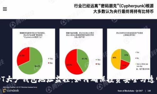 USDT大户钱包地址监控：如何确保投资安全与透明度