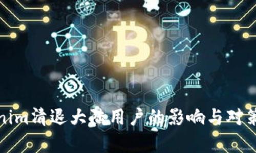 Tokenim清退大陆用户的影响与对策分析