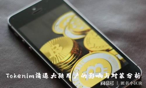 Tokenim清退大陆用户的影响与对策分析