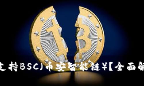 TokenIM是否支持BSC（币安智能链）？全面解析与操作指南