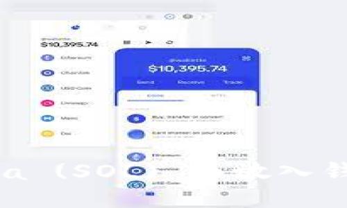 如何将Solana (SOL) 币放入钱包：新手指南