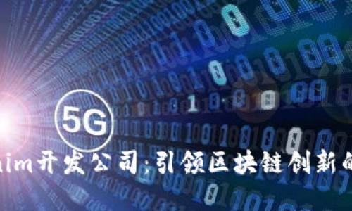 Tokenim开发公司：引领区块链创新的先锋