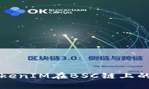 深入了解TokenIM在BSC链上的应用与前景