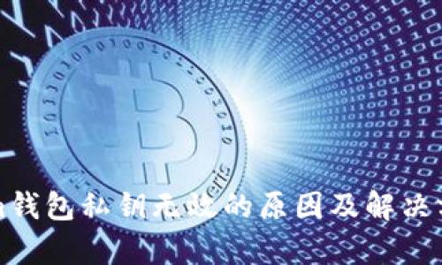 Tokenim钱包私钥无效的原因及解决方案分析