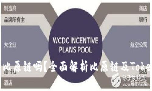 Tokenim钱包支持比原链吗？全面解析比原链及Tokenim钱包的兼容性