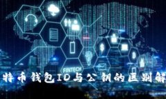 比特币钱包ID与公钥的区别解析