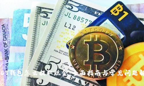 USDT钱包怎么提取现金：全面指南与常见问题解答