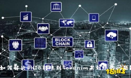 如何解决SHIB转账到Tokenim未到账的问题？