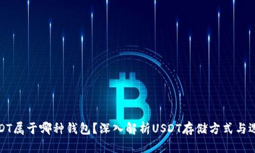 USDT属于哪种钱包？深入解析USDT存储方式与选择