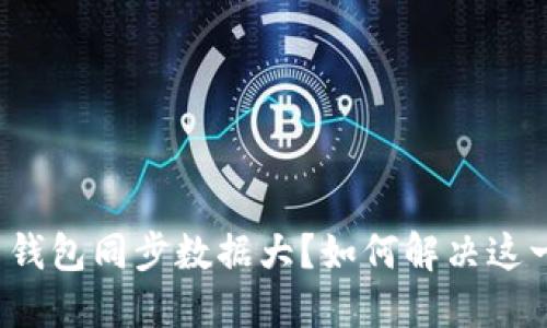 比特币钱包同步数据大？如何解决这一问题？