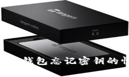 如何处理比特币钱包忘记密钥的情况：全面指南