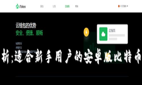 全面解析：适合新手用户的安卓版比特币轻钱包