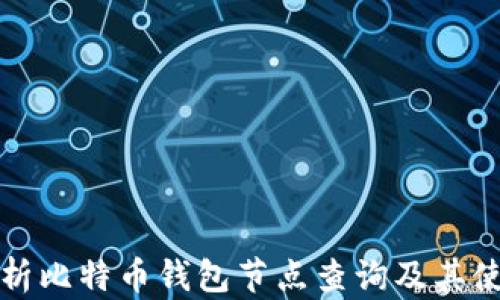 
全面解析比特币钱包节点查询及其使用方法