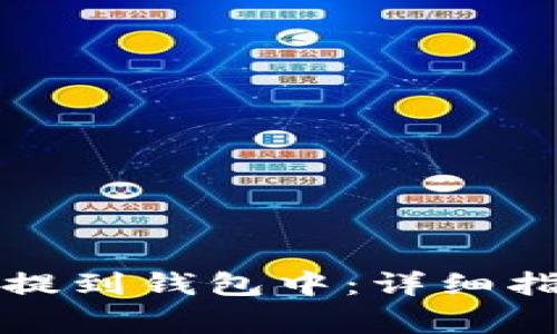 如何将狗狗币提到钱包中：详细指南与注意事项