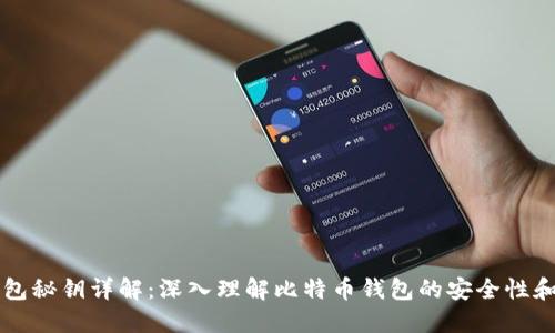 比特币钱包秘钥详解：深入理解比特币钱包的安全性和使用方法