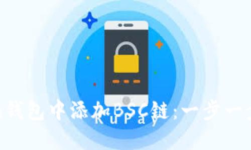 如何在Token钱包中添加BSC链：一步一步的详细指南