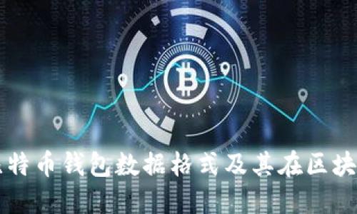 深入理解比特币钱包数据格式及其在区块链中的应用
