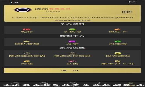 
如何解决比特币钱包恢复失败的问题：全面指南